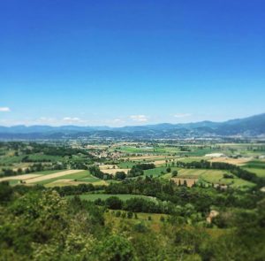 https://www.raicom.rai.it/2023/04/14/linea-verde-visita-lalta-valle-del-tevere/